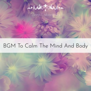 BGM To Calm The Mind And Body