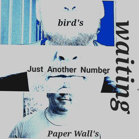 Paper walls