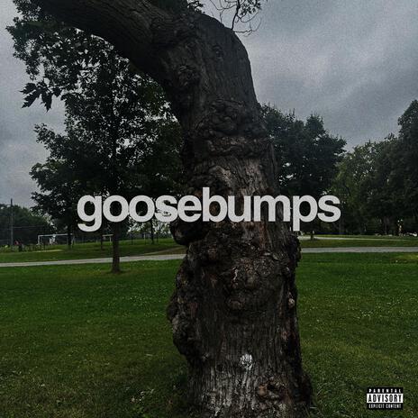 goosebumps | Boomplay Music