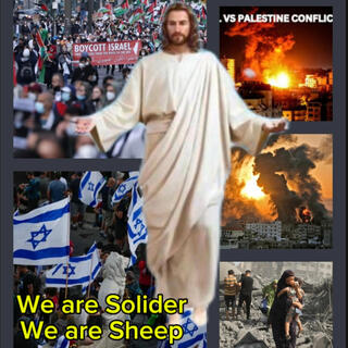 We are Solider We are Sheep