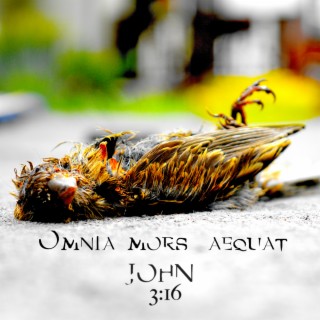 Omnia Mors Aequat