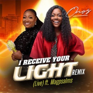 I Receive Your Light (feat. Magpsalms) | Boomplay Music