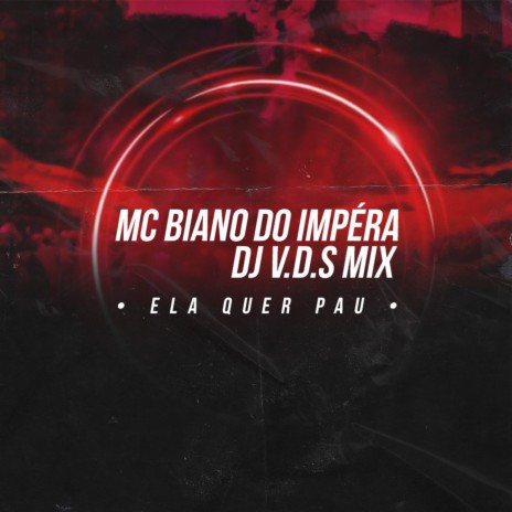 ELA QUER PAU ft. DJ V.D.S Mix