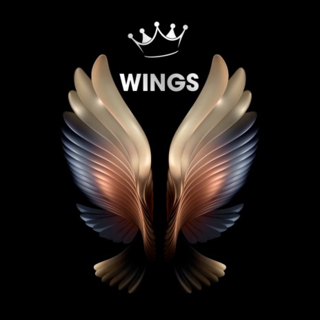 Wings ft. RUTH, CHR & INI | Boomplay Music