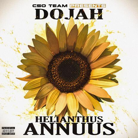 Helianthus Annuus | Boomplay Music