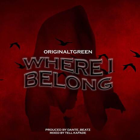 Where I belong | Boomplay Music