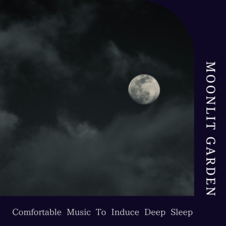 The Feeling of Sleep | Boomplay Music