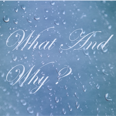 What and Why | Boomplay Music