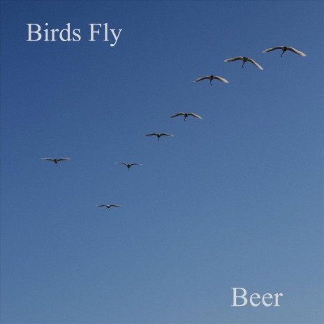 Birds Fly (feat. Michiel Buursen) | Boomplay Music