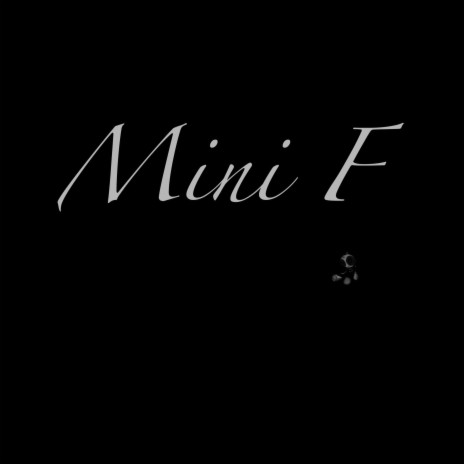 MiniF VIII