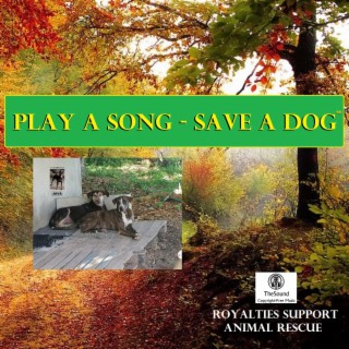Play a Song Save a Dog, Vol. 1