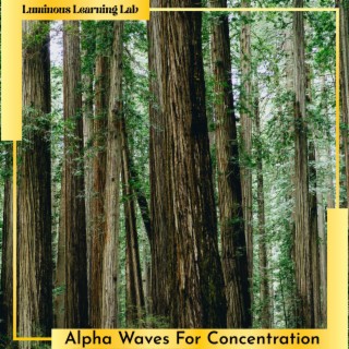 Alpha Waves For Concentration