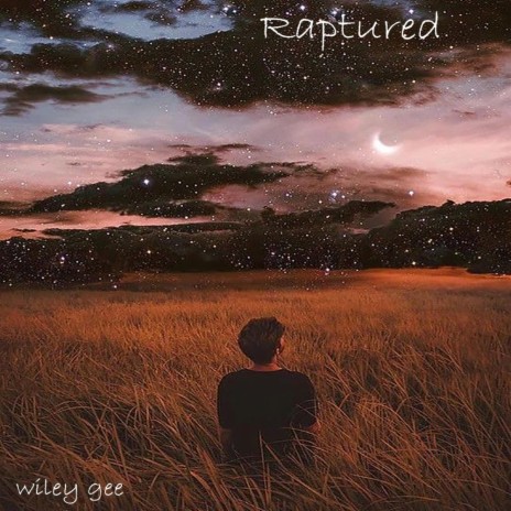 Raptured | Boomplay Music