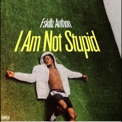 I Am Not Stupid | Boomplay Music
