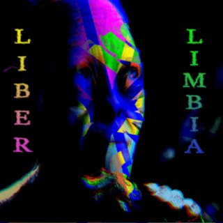 Episode 32767: Liber Limbia Vol. 671 Chapter 2: Yes no?