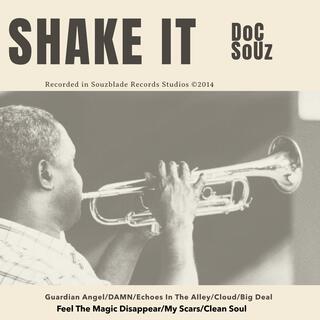 Shake It Off lyrics | Boomplay Music