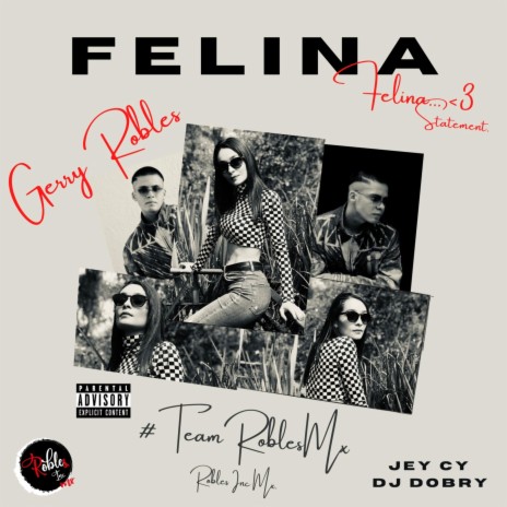 Felina ft. Jey Cy & Dj Dobry | Boomplay Music