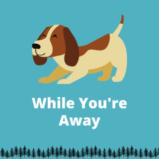 While You're Away: Tunes Your Dog Will Adore