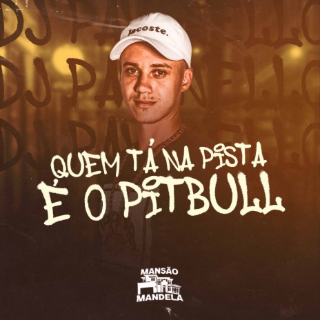 Lobo Mal ft. DJ PAVANELLO | Boomplay Music