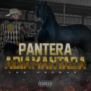 Pantera Adiamantada lyrics | Boomplay Music