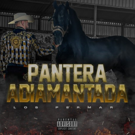 Pantera Adiamantada | Boomplay Music