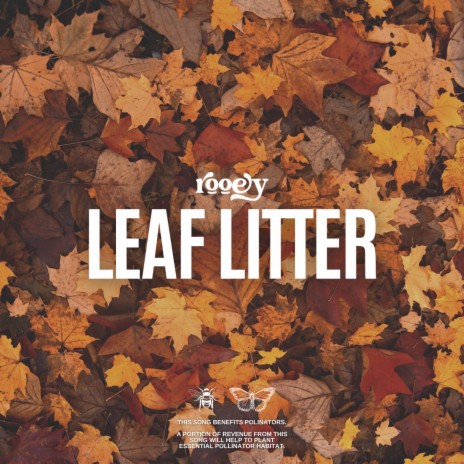 Leaf Litter | Boomplay Music