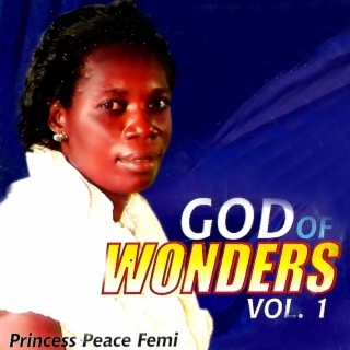 God of Wonders, Vol. 1