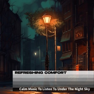 Calm Music To Listen To Under The Night Sky