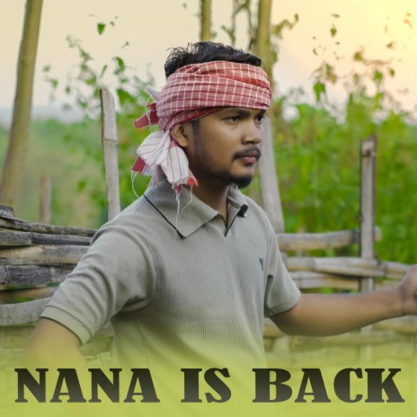 Nana is back | Boomplay Music