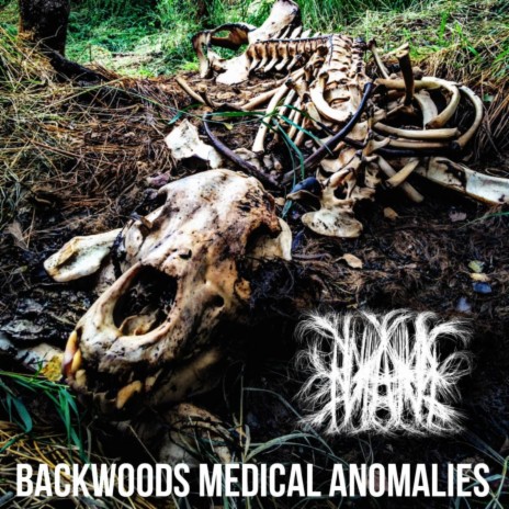 Omphalocele Coated in Coagulating Blood and Fecal Matter | Boomplay Music