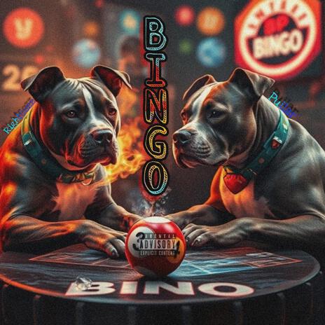 BINGO | Boomplay Music