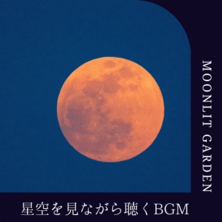 星空を見ながら聴くBGM