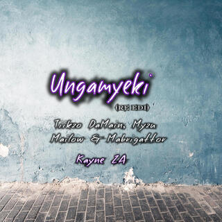 Ungamyeki (Re Edit)