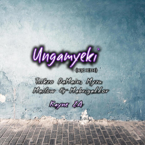 Ungamyeki (Re Edit) ft. Tiikzo DaMain Myzu x Mailow & Mabrigattor | Boomplay Music