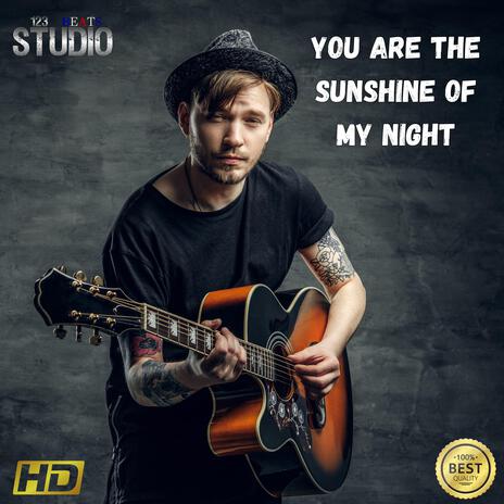 You Are The Sunshine Of My Night | Boomplay Music