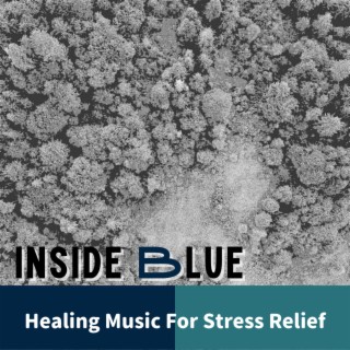 Healing Music For Stress Relief