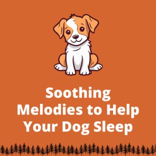 Soothing Melodies to Help Your Dog Sleep: Pet Therapy Relaxation Music