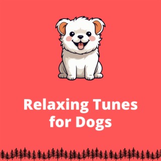 Relaxing Tunes for Dogs: Calming Melodies for Anxiety, Dog Sleep Aid, Pet Comfort Music, and Soothing Sounds for Restless Dogs