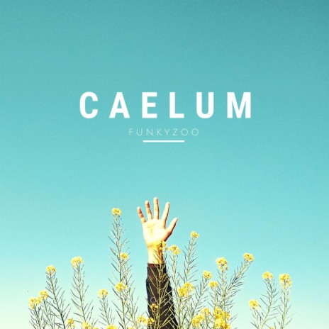 caelum | Boomplay Music