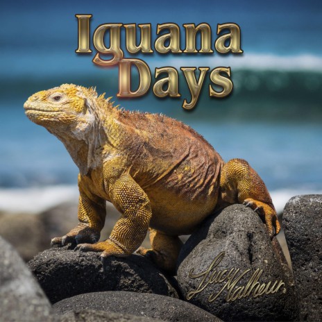 Iguana Days