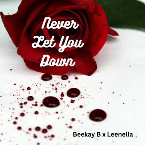 Never Let You Down ft. Leenella | Boomplay Music