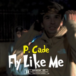 Fly Like Me