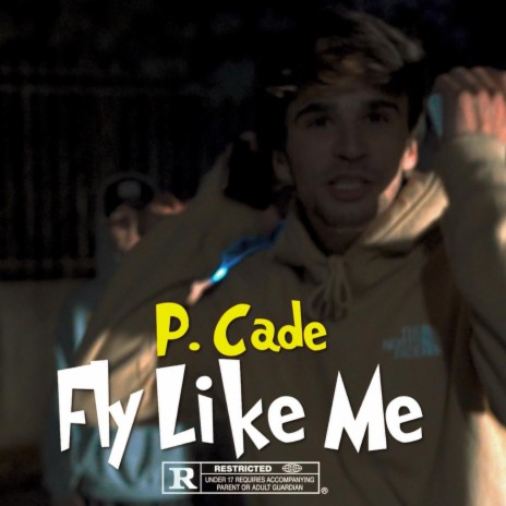 Fly Like Me | Boomplay Music