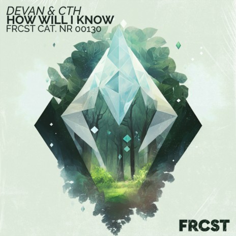 How Will I Know (Extended) ft. CTH | Boomplay Music