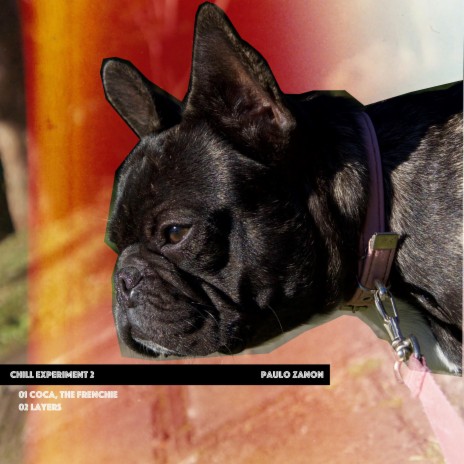 Coca, the Frenchie | Boomplay Music