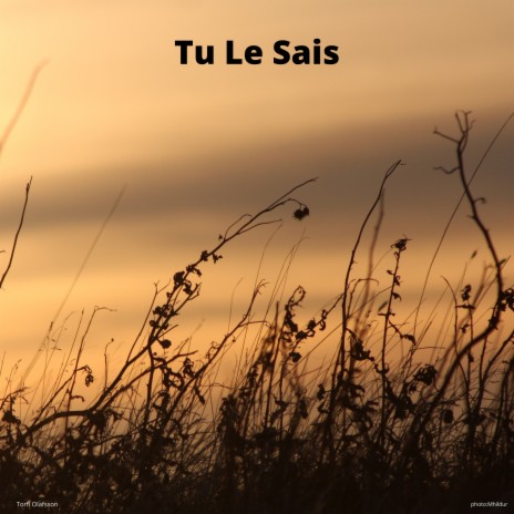 Tu Le Sais | Boomplay Music