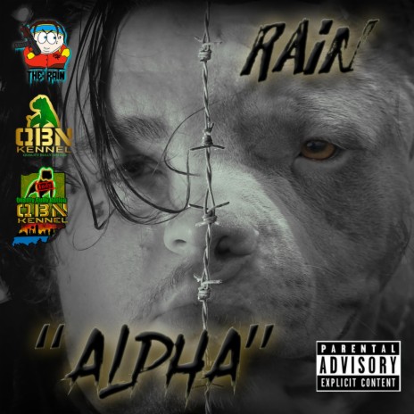 Alpha (QBNK ANTHEM) | Boomplay Music