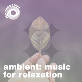 Ambient: Music For Relaxation