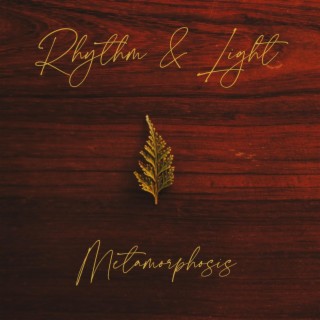 Rhythm & Light