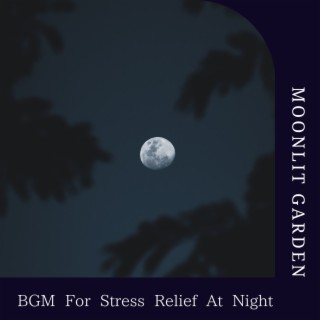 BGM For Stress Relief At Night